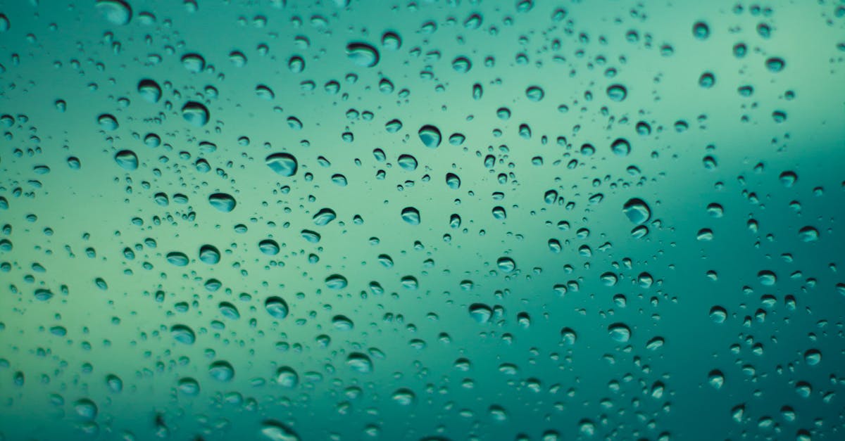 A Comprehensive Guide to Privacy Enhancement with Window Films