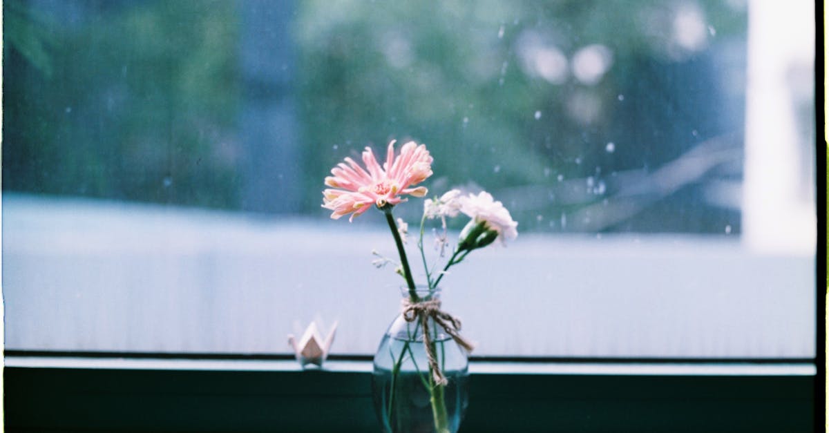 Advantages of Choosing Dyed Window Tinting for Privacy