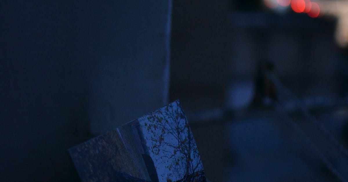 Comprehensive Guide to Compliance with South Australian Window Tinting Laws