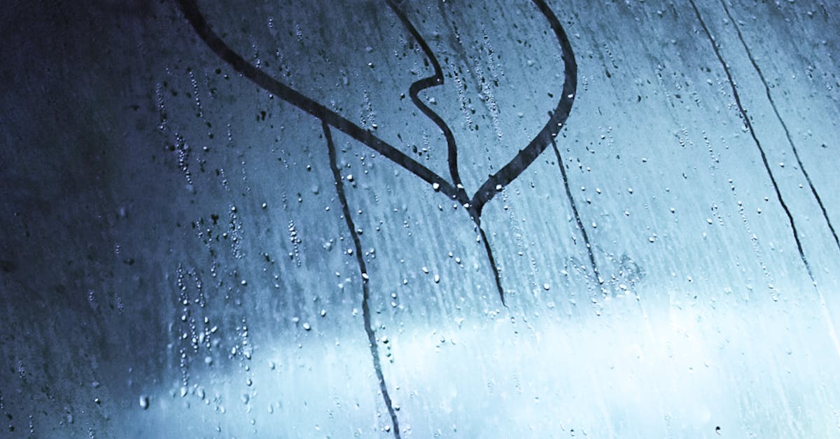 Enhancing Comfort with Window Tinting: A Guide to Heat Reduction Benefits