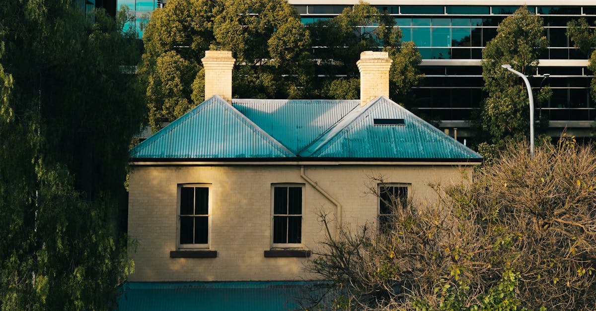 Evaluating the Implications of State Laws on Residential Window Tinting