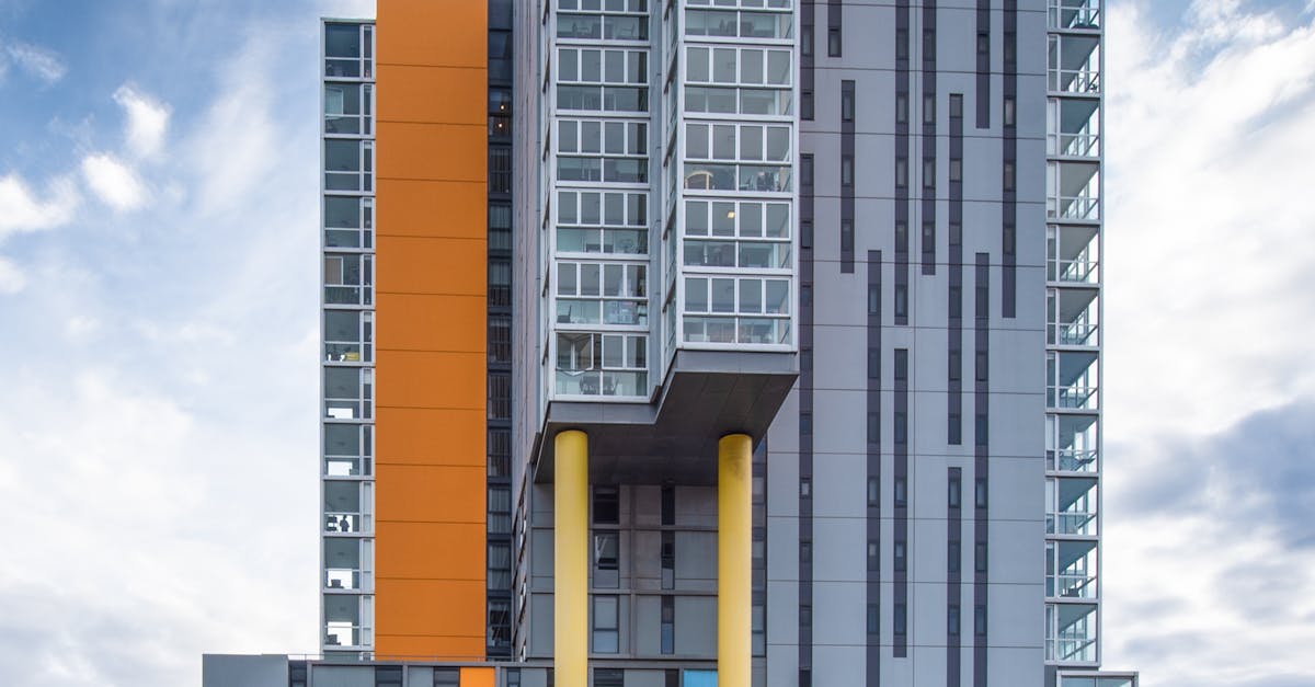 Exploring Case Studies of Window Tinting Non-Compliance Fines