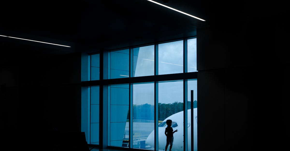 How to Navigate the Appeals Process for Window Tinting Penalties