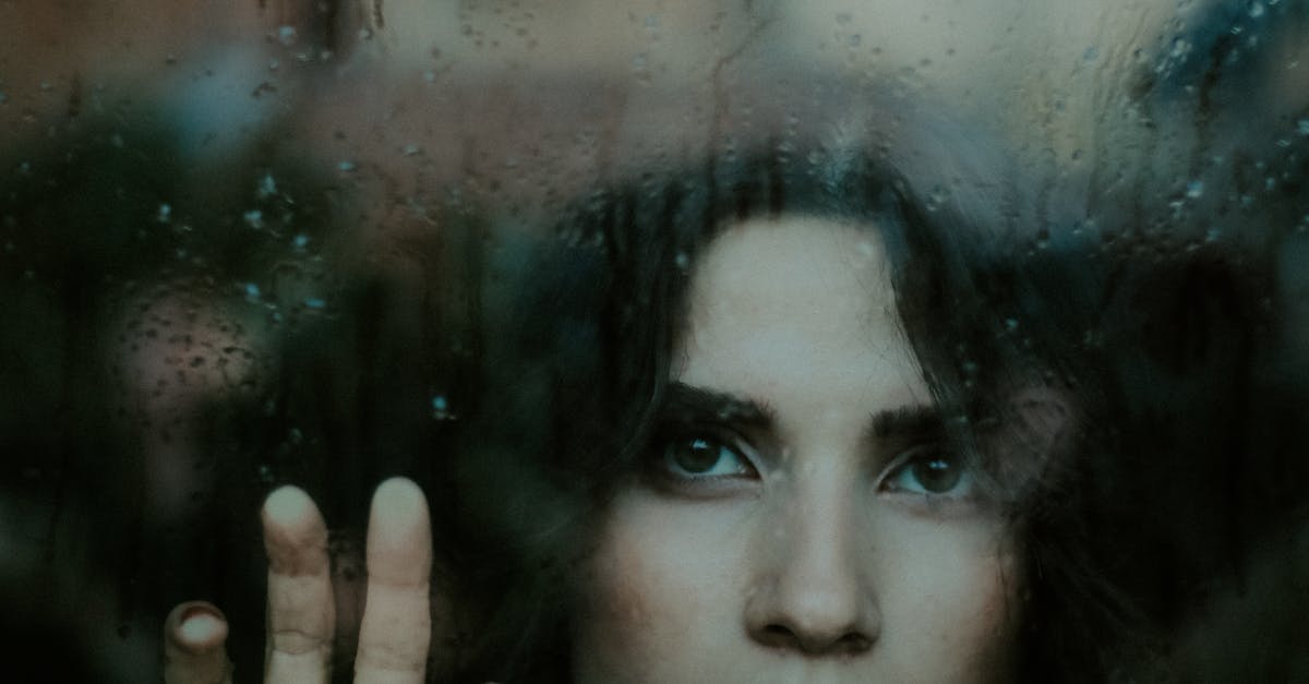 Impacts of Exemptions on Residential Window Tinting Projects