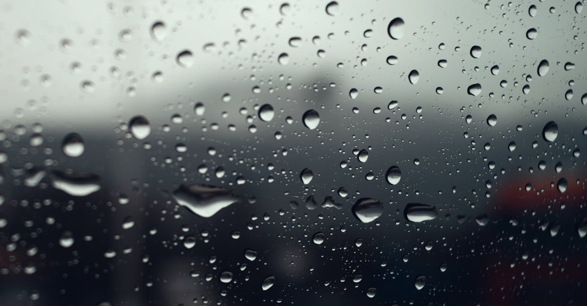 Key Features of High-Performance Safety and Security Window Films