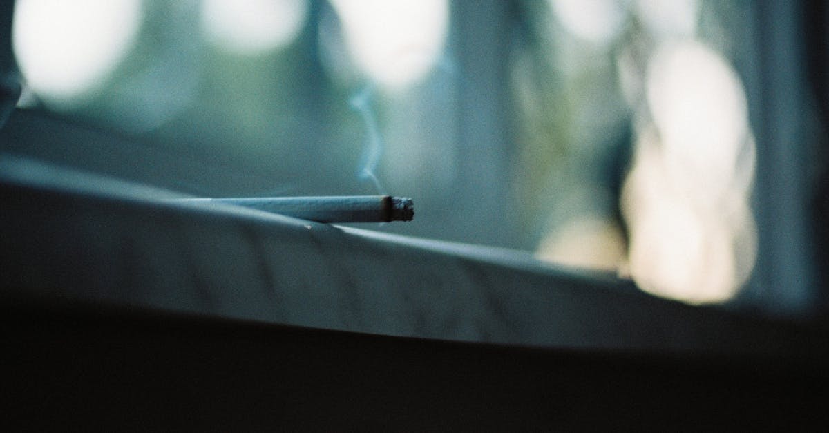 Navigating Compliance Requirements for Window Tinting in Adelaide