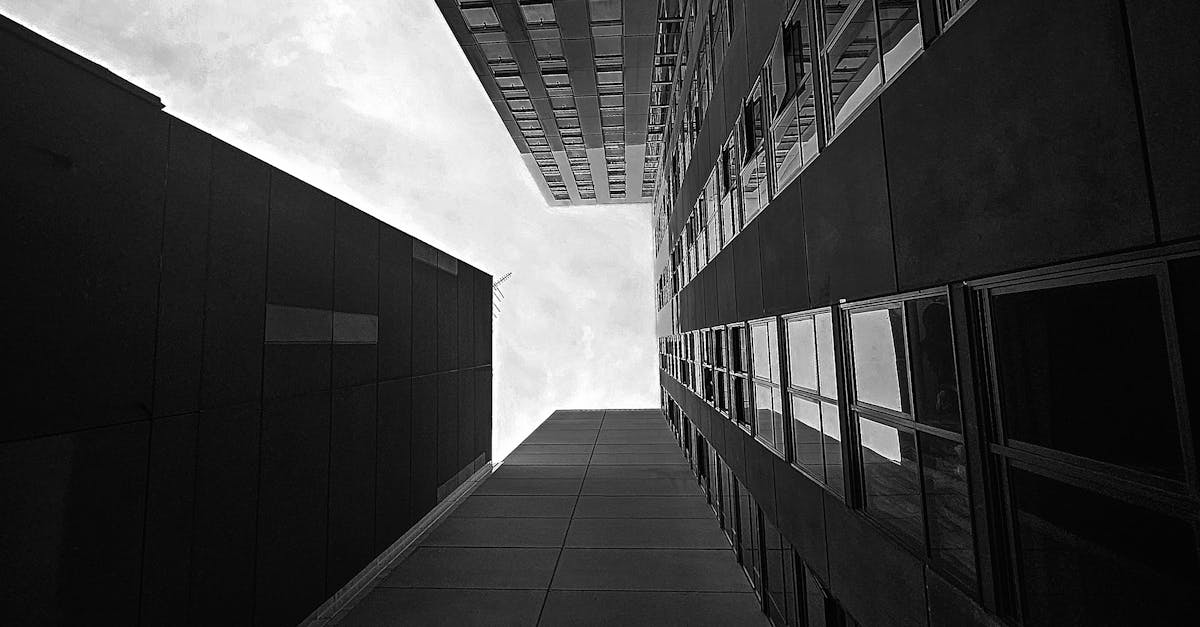 Popular Brands of Metalised Window Tinting for Adelaide Residents