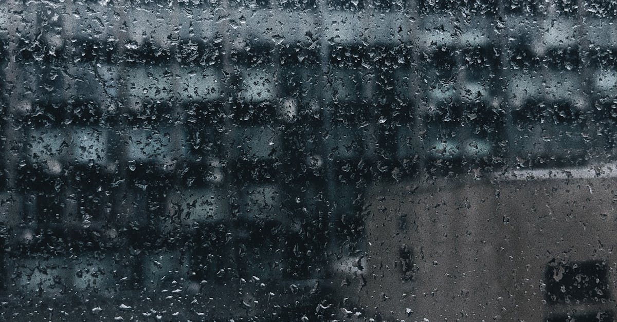 Recent Changes in Legislation Affecting Window Tinting Standards in Adelaide