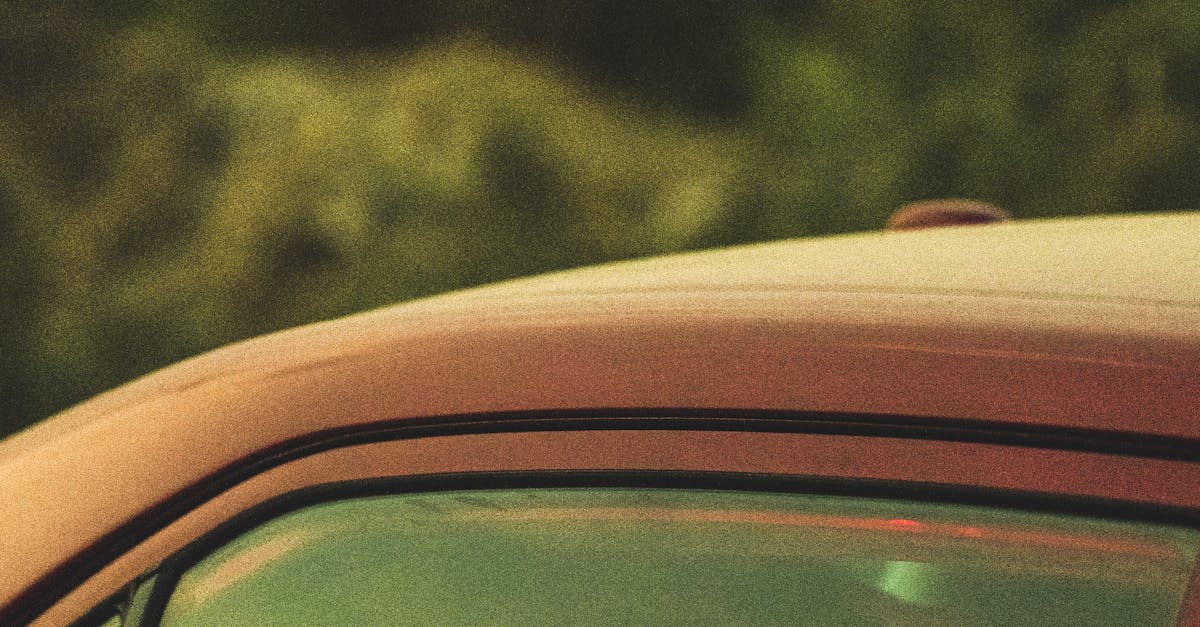 Window Tinting as a Solution for Office Privacy Concerns